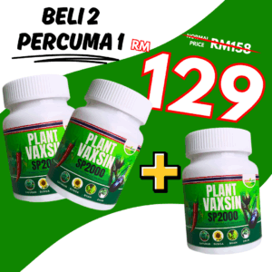 3 VAXSIN