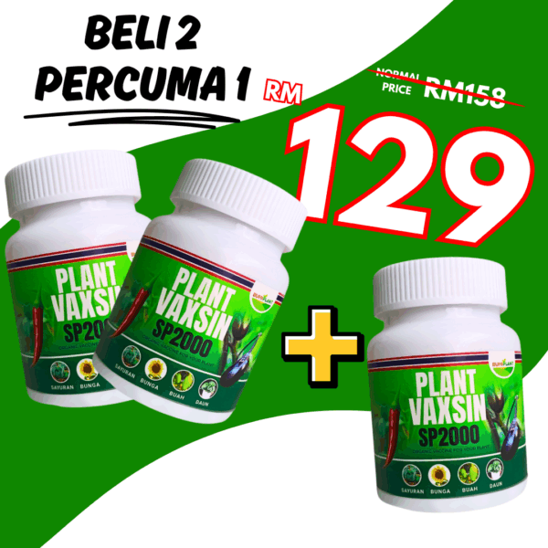 3 VAXSIN